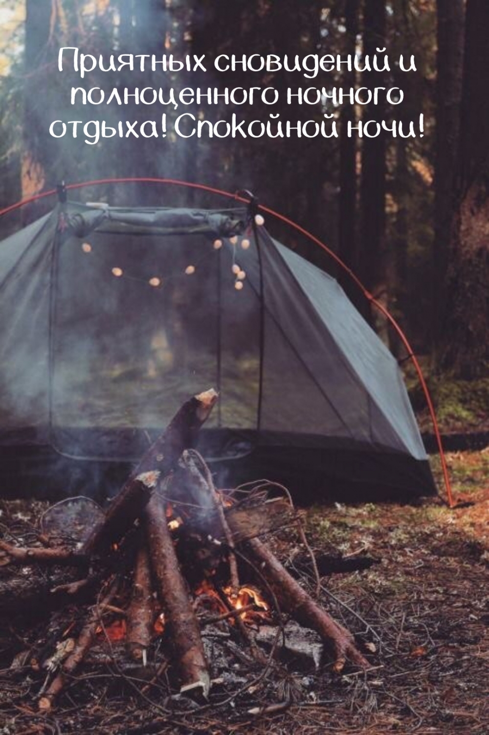 Приятных сновидений и полноценного ночного отдыха!