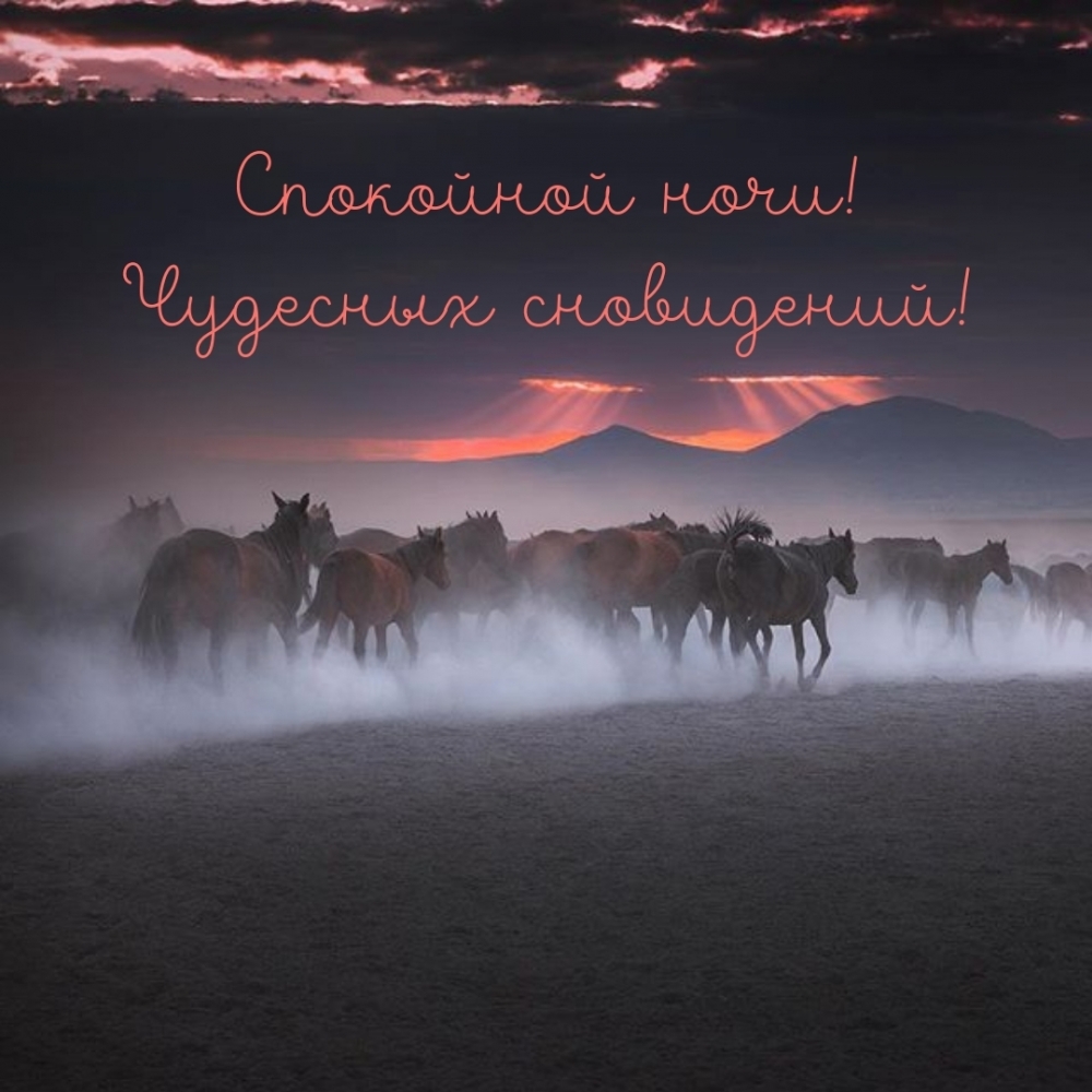 Спокойной ночи! Чудесных сновидений!
