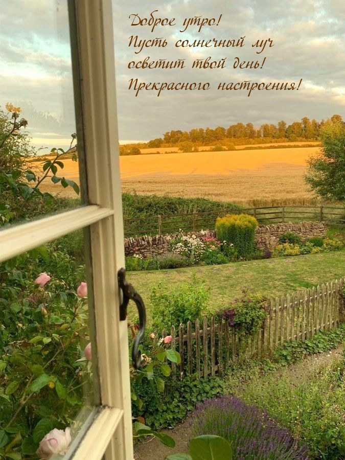 Картинка - Доброе утро! Пусть солнечный луч осветит твой день!.