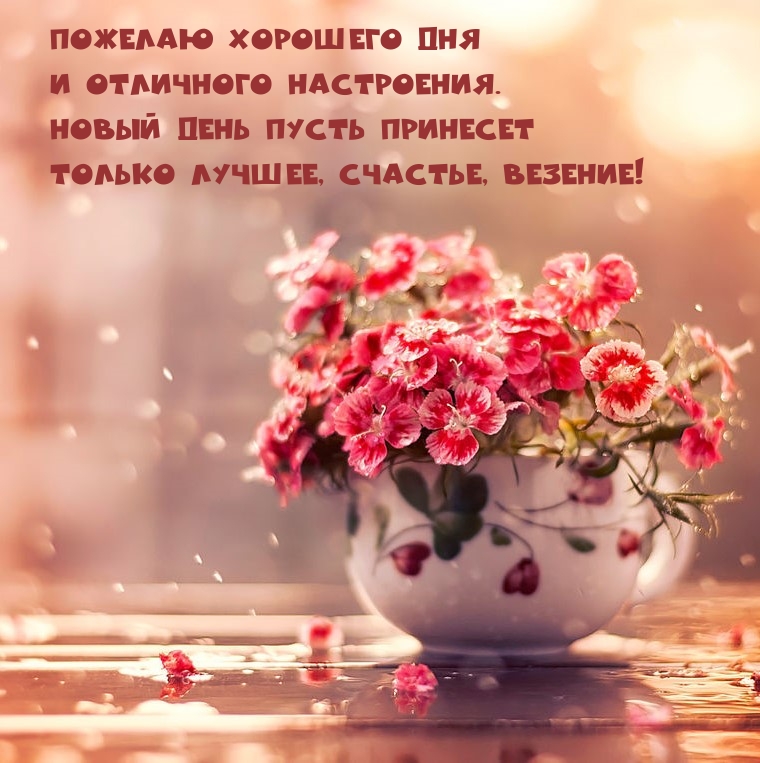 Пожелаю хорошего дня и отличного настроения.