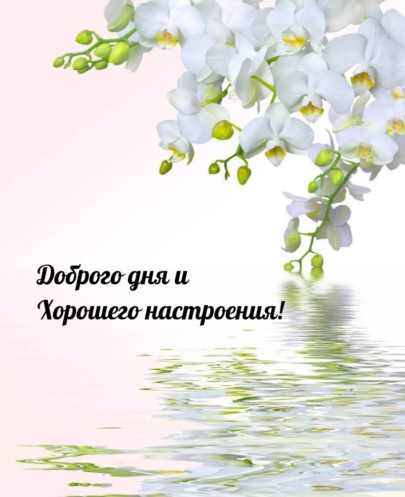Доброго дня и Хорошего настроения!