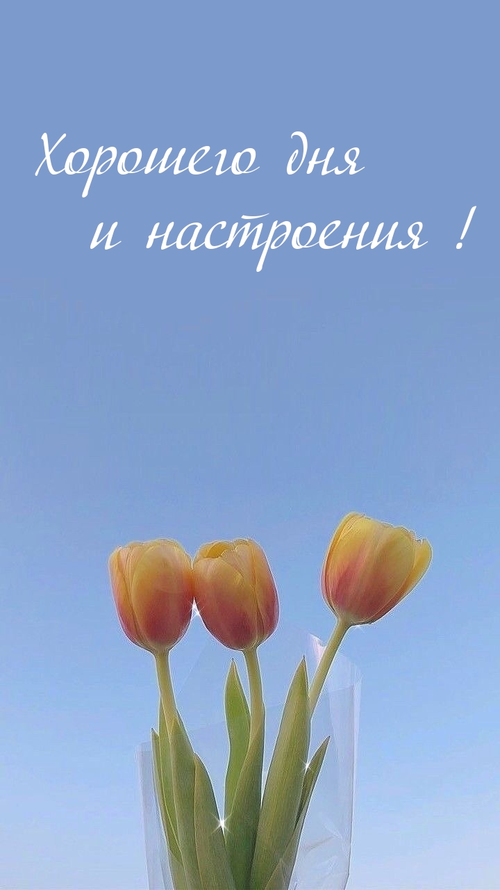Хорошего дня и настроения!