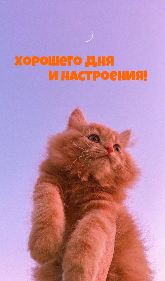 Хорошего дня и настроения!