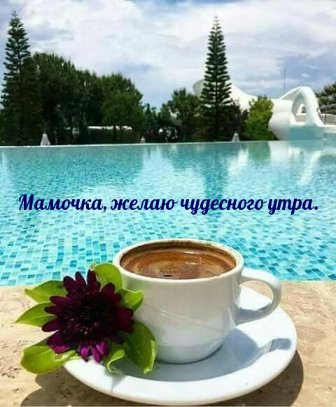 Мамочка, желаю чудесного утра.