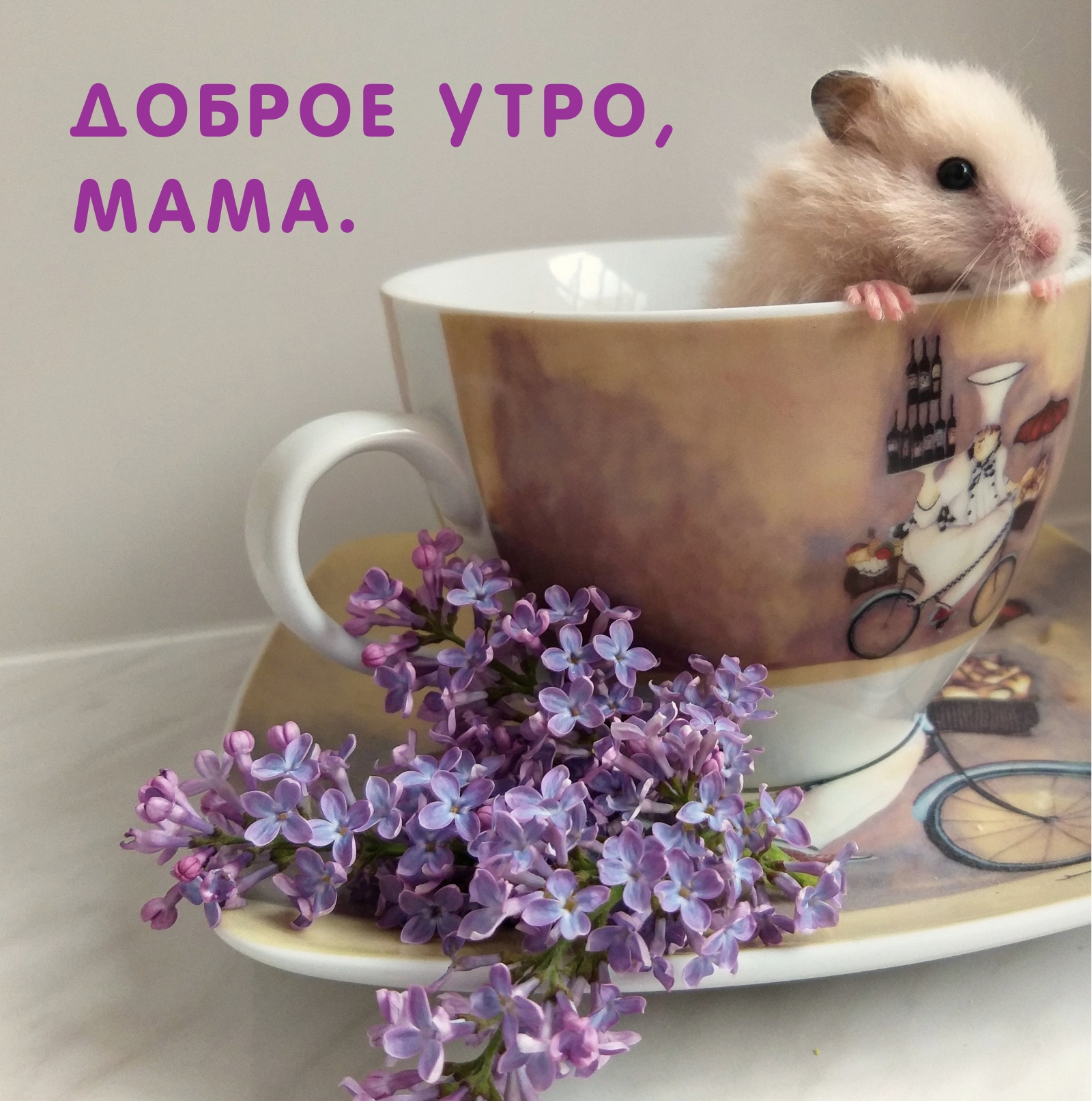 Доброе утро, мама.