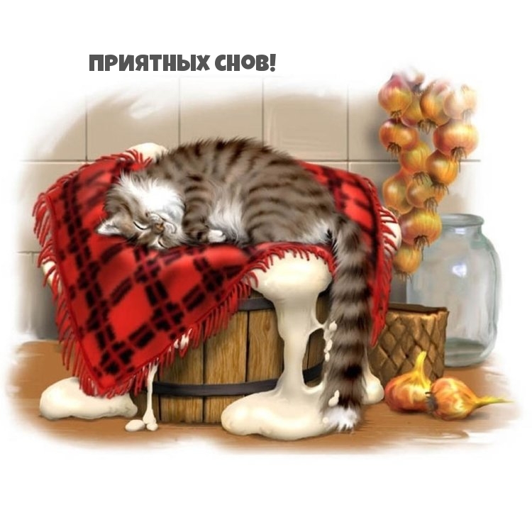 Приятных снов!