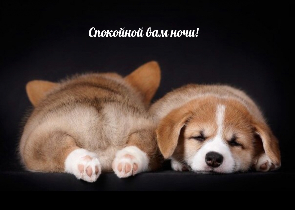 Спокойной вам ночи!