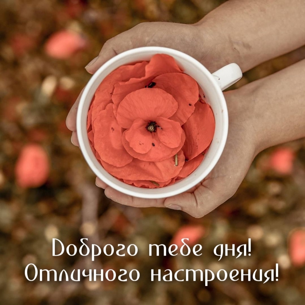 Доброго тебе дня! Отличного настроения