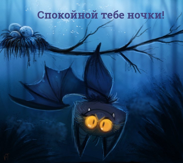 Спокойной тебе ночки!