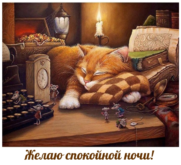 Желаю спокойной ночи!