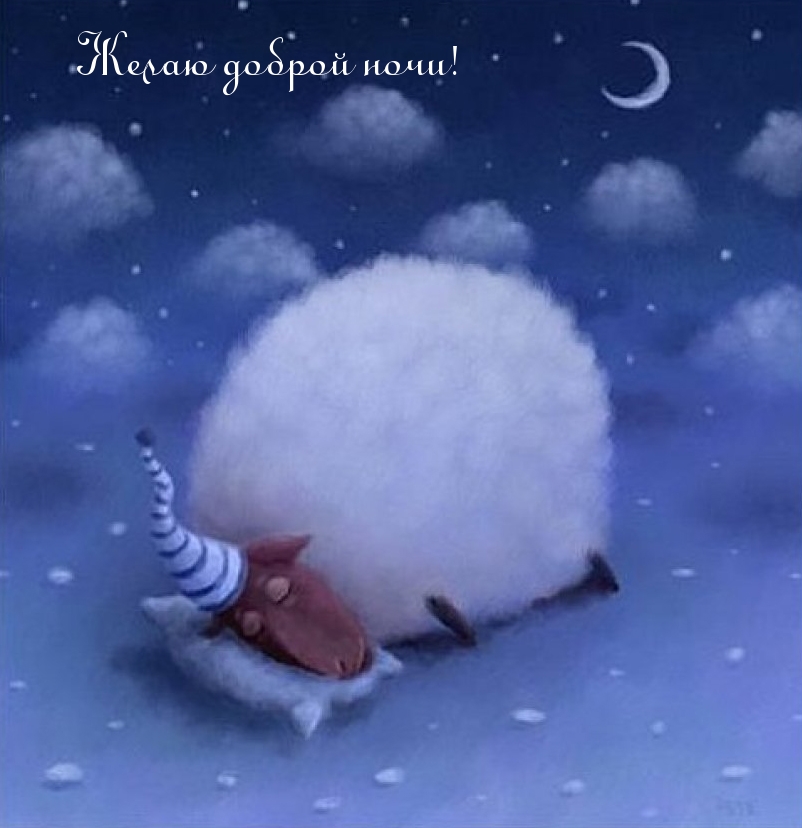 Желаю доброй ночи!