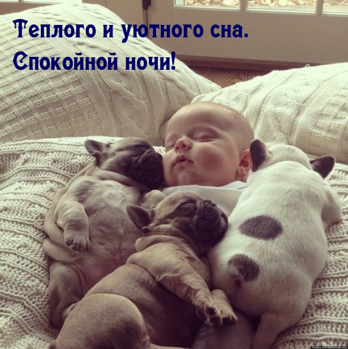Теплого и уютного сна.