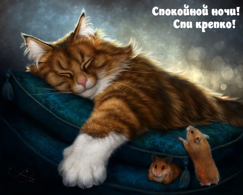 Спокойной ночи! Спи крепко!