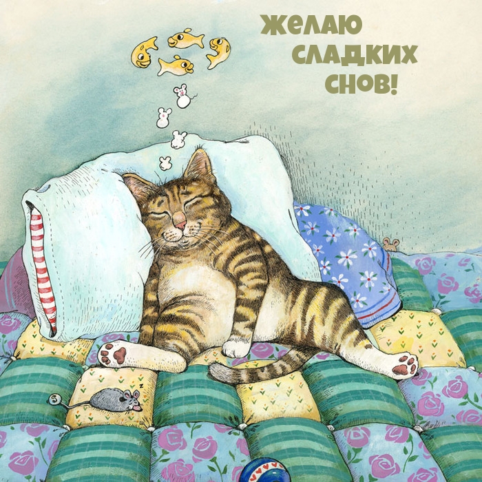 Желаю сладких снов!