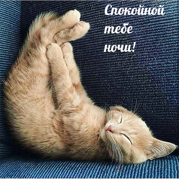 Спокойной тебе ночи!