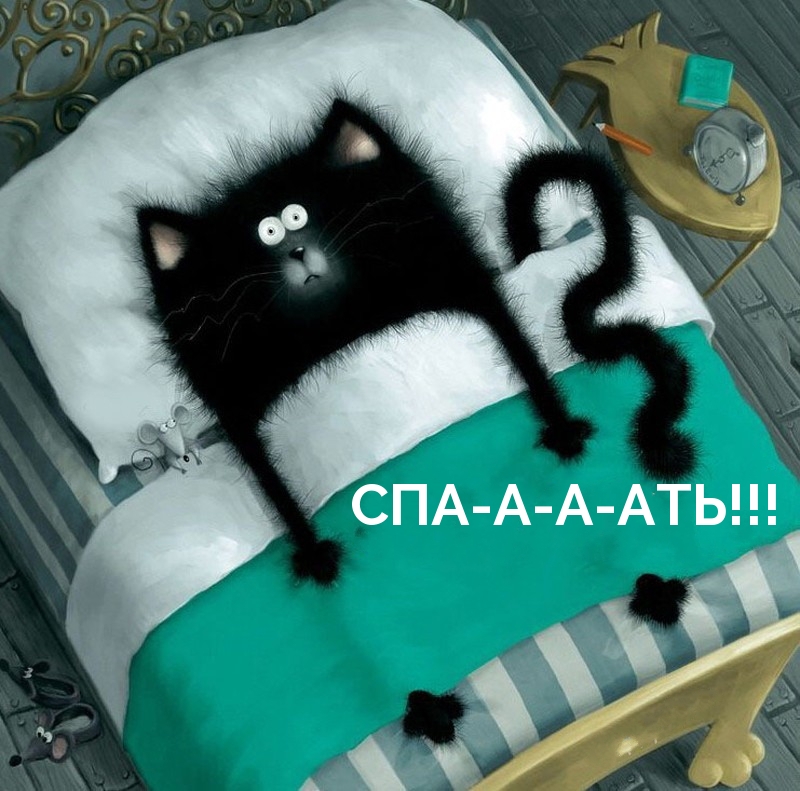 СПА-А-А-АТЬ!