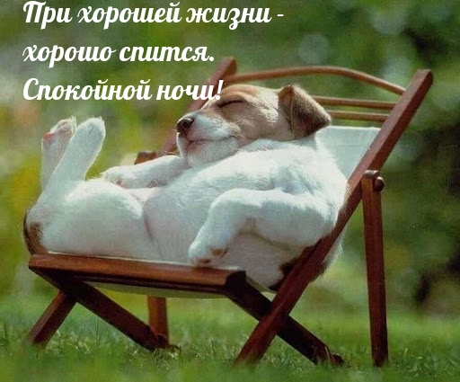 При хорошей жизни — хорошо спится.