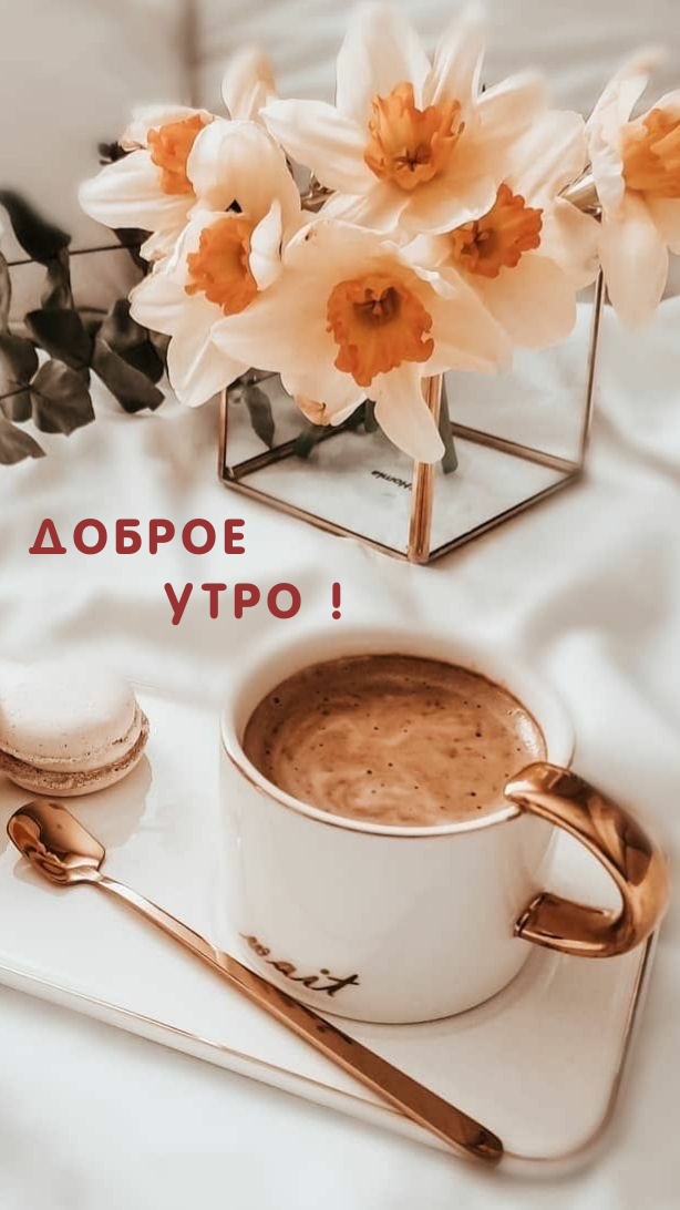 Доброе утро!