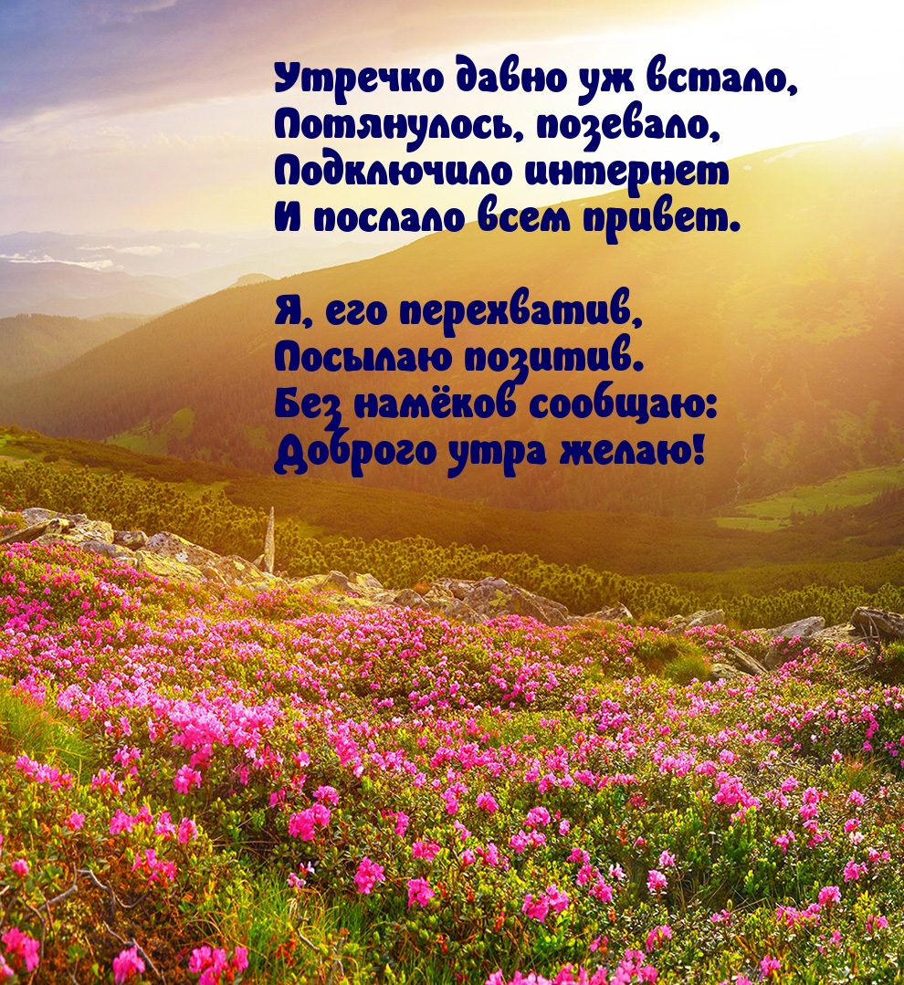 Утречко давно уж встало, потянулось, позевало
