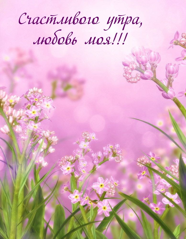 Счастливого утра, любовь моя!