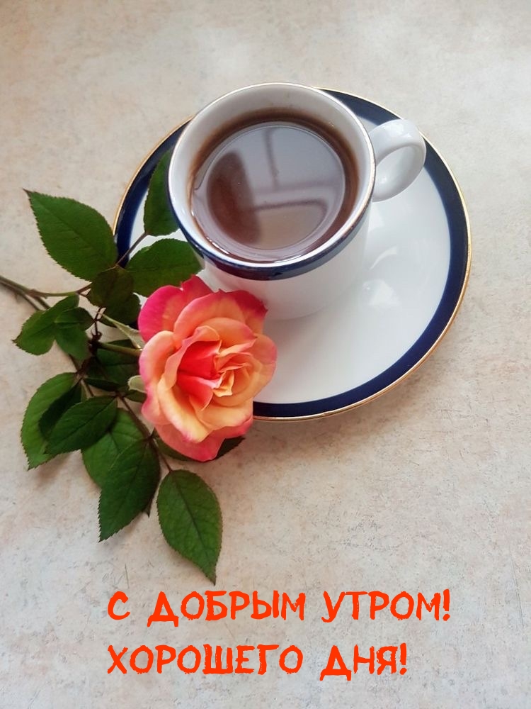 С Добрым Утром! Хорошего дня!