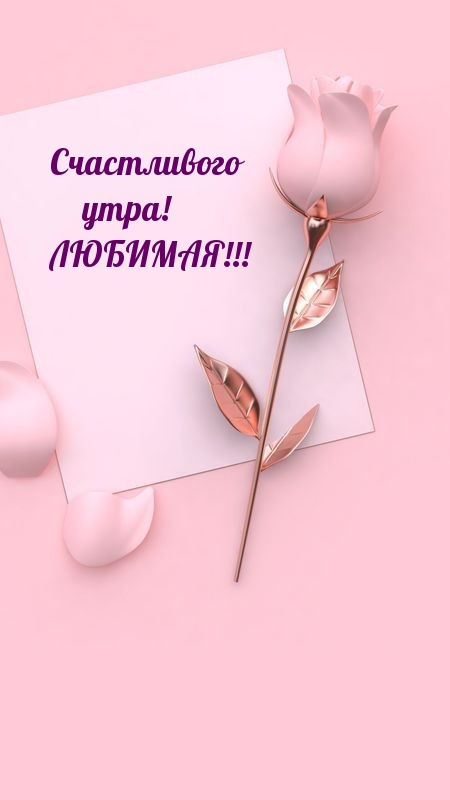 Счастливого утра! ЛЮБИМАЯ!