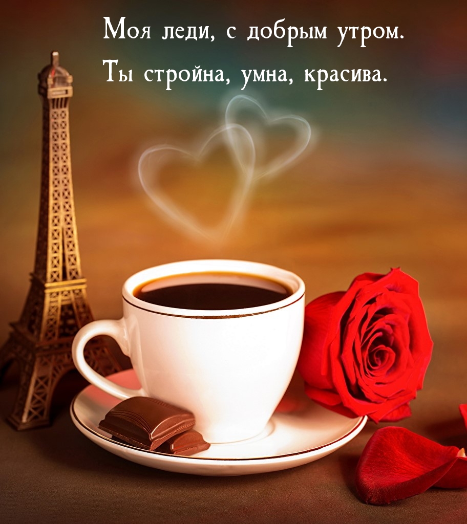 Моя леди, с добрым утром. Ты стройна, умна, красива.