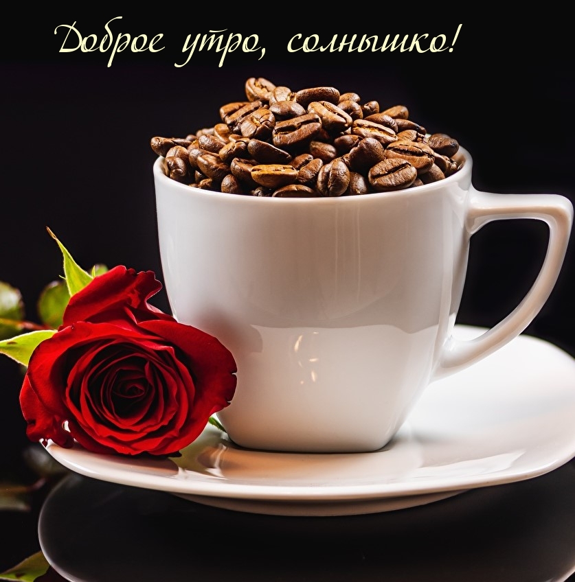 Доброе утро, солнышко!