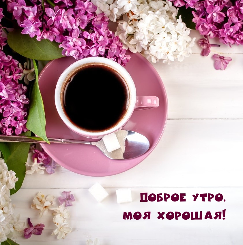 Доброе утро, моя хорошая!