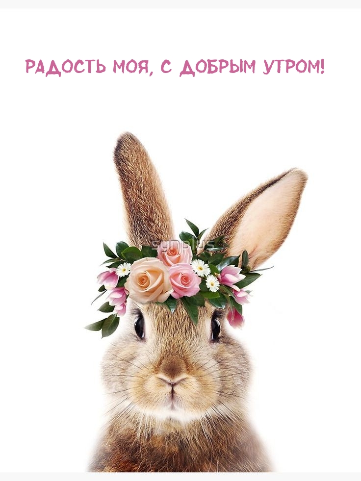 Радость моя, с добрым утром!