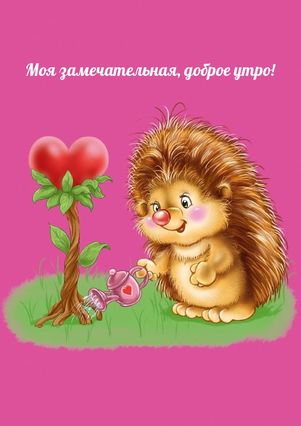 Моя замечательная, доброе утро!