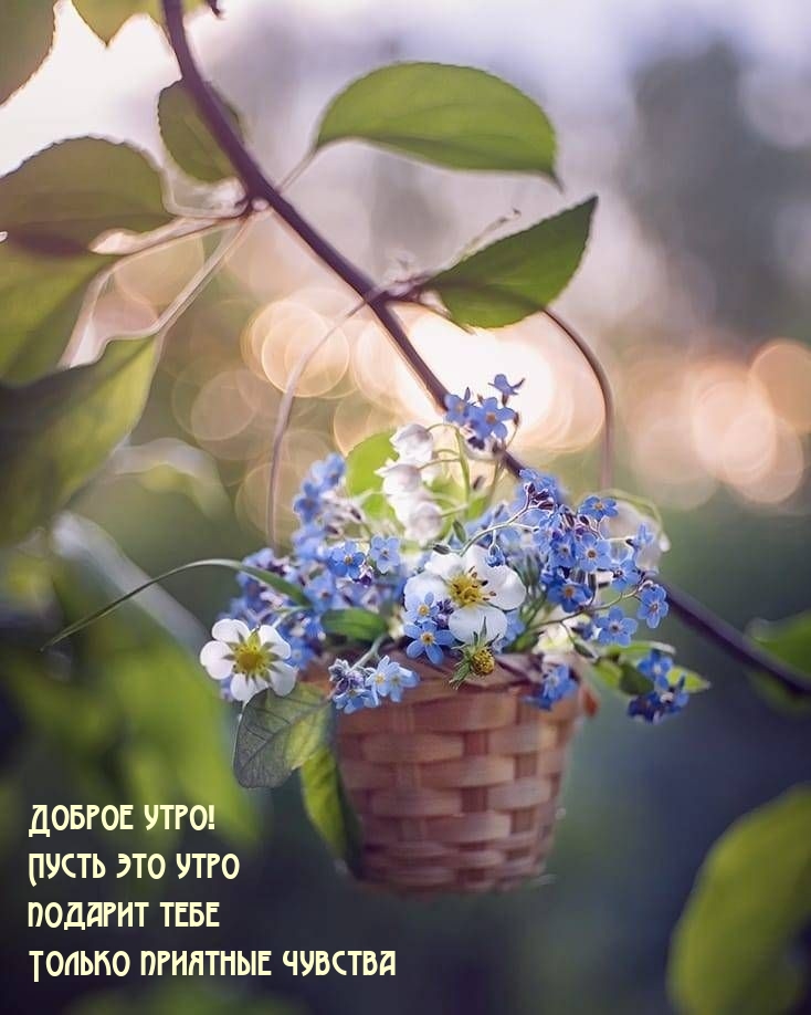 Доброе утро! Пусть это утро подарит тебе только приятные чувства