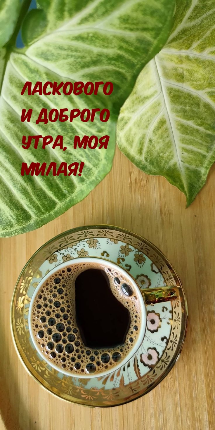 Ласкового и доброго утра, моя милая!