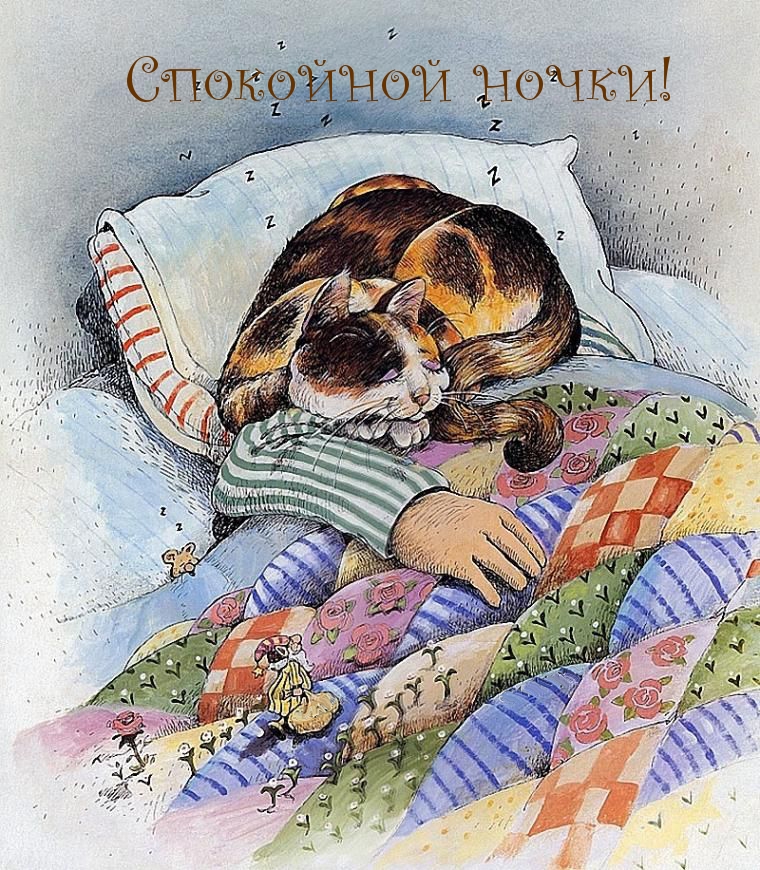 Спокойной ночки!