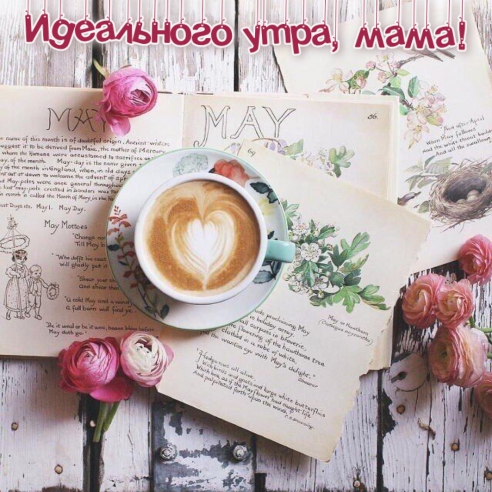 Идеального утра, мама!