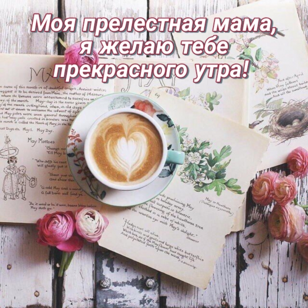 Моя прелестная мама, я желаю тебе прекрасного утра!