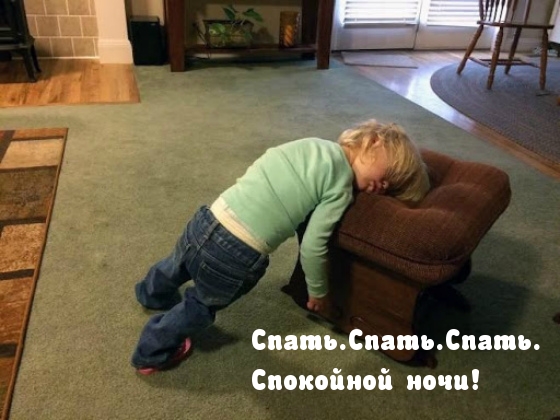 Спать.Спать.Спать. Спокойной ночи!