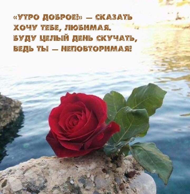 «Утро доброе!» — сказать хочу тебе, любимая.