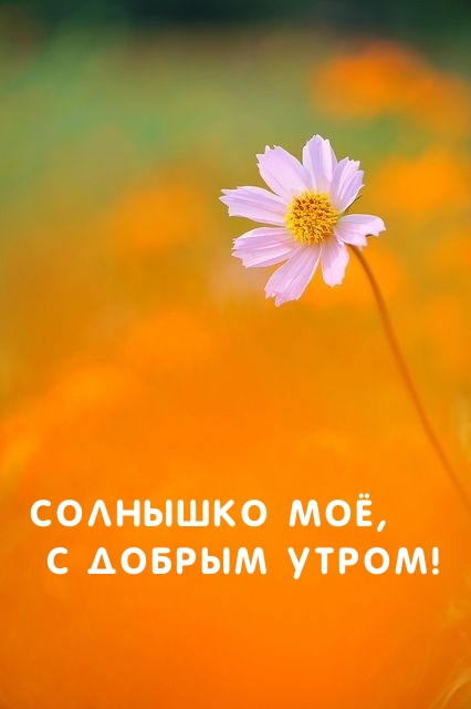 Солнышко моё, с добрым утром!