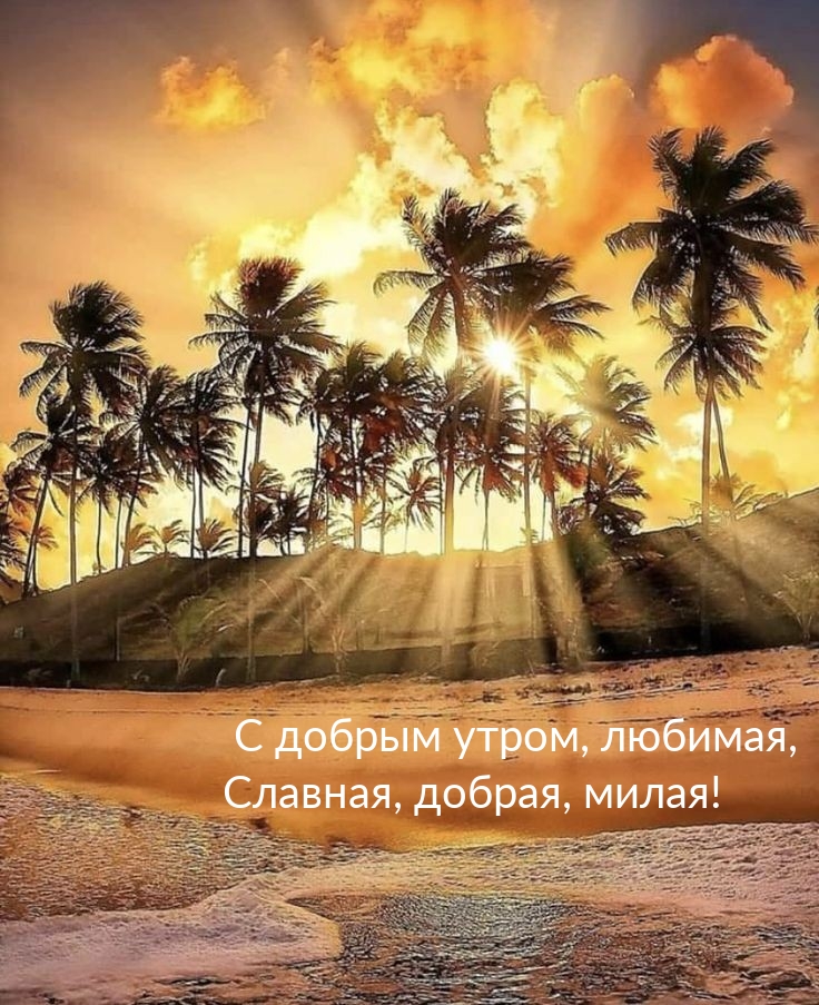 С добрым утром, любимая, Славная, добрая, милая!