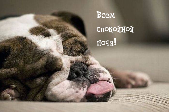 Всем спокойной ночи!