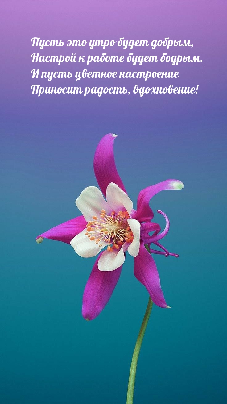 Пусть это утро будет добрым