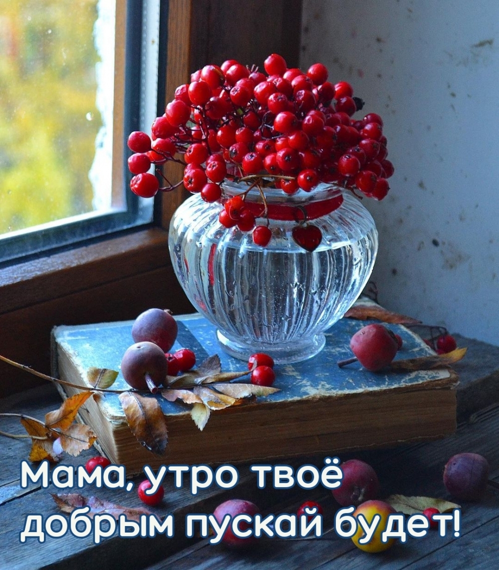 Мама, утро твоё добрым пускай будет!