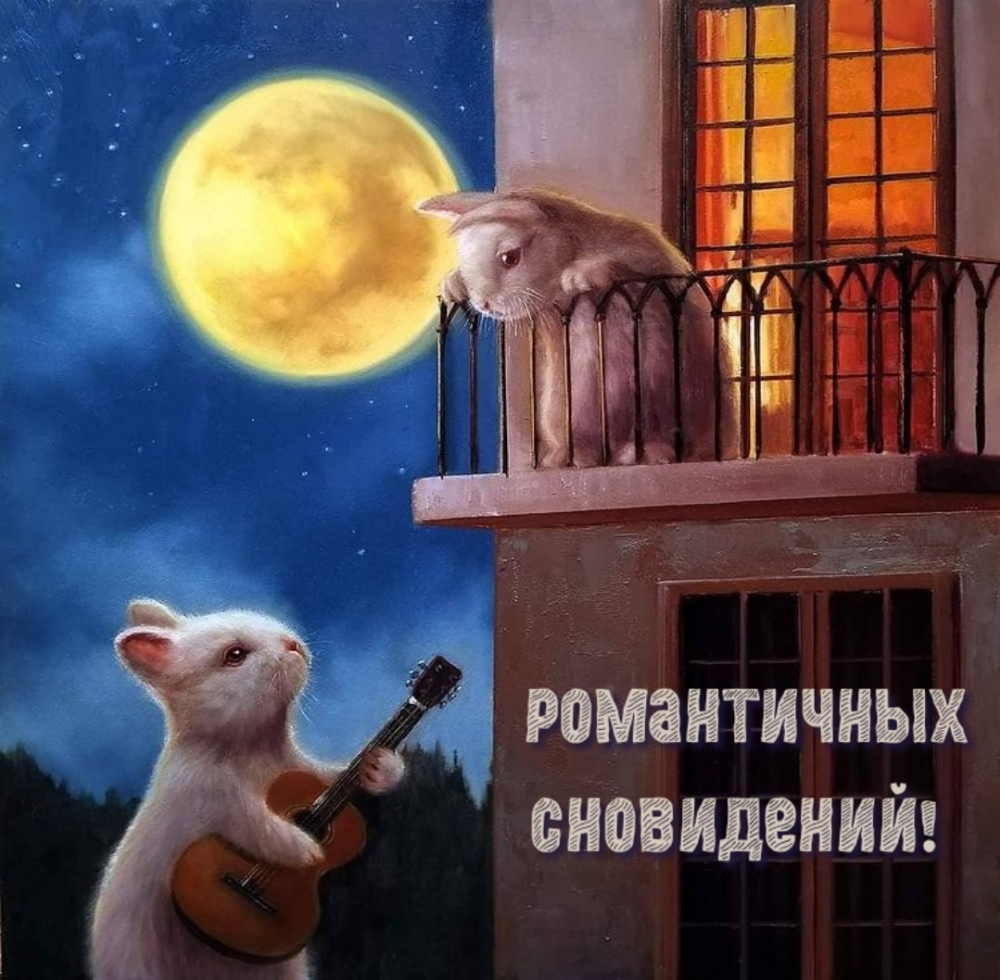 Романтичных сновидений!