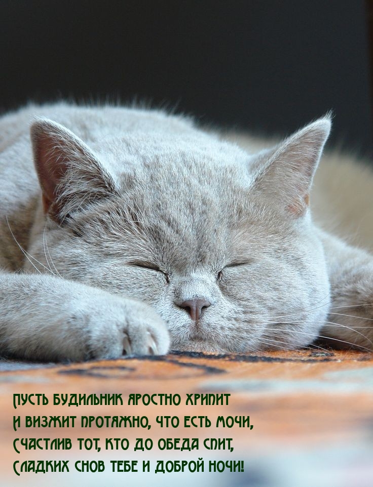 Сладких снов тебе и доброй ночи!