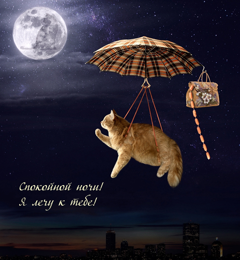 Спокойной ночи! Я лечу к тебе!