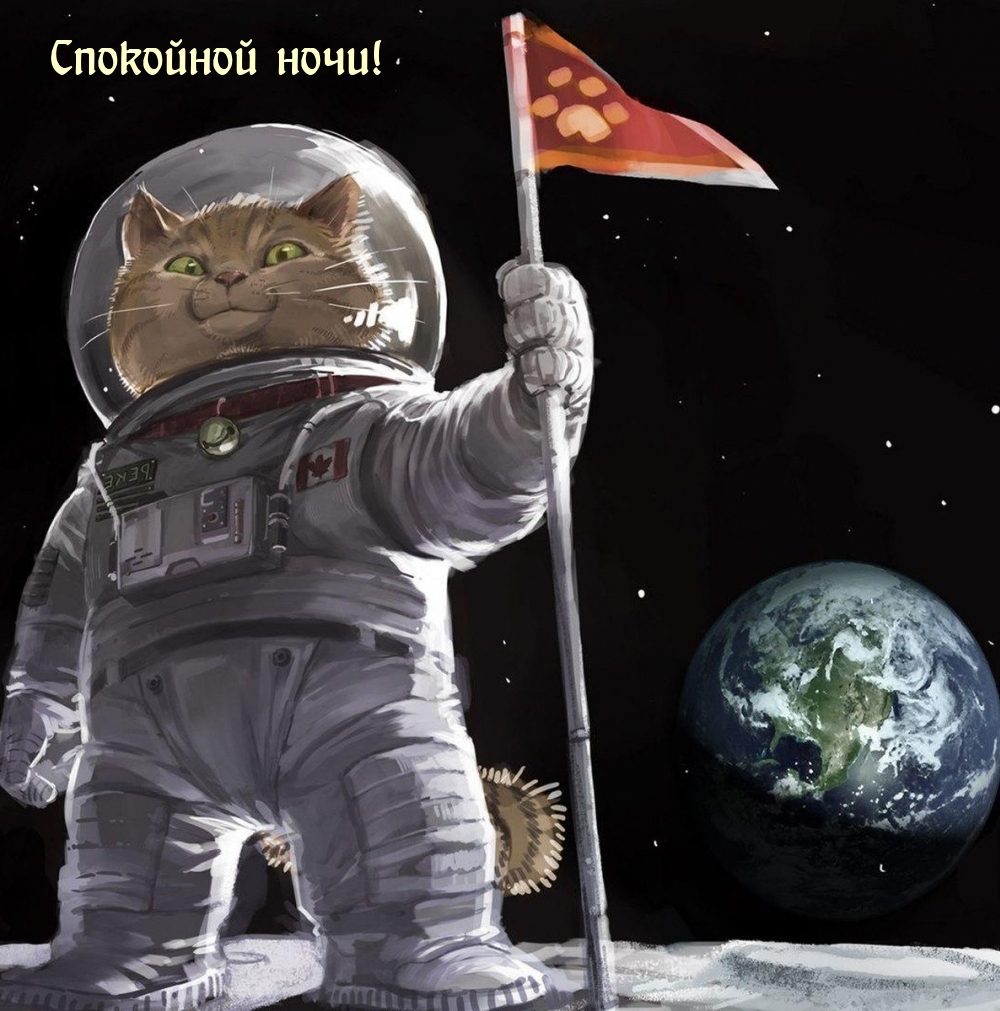 Спокойной ночи!
