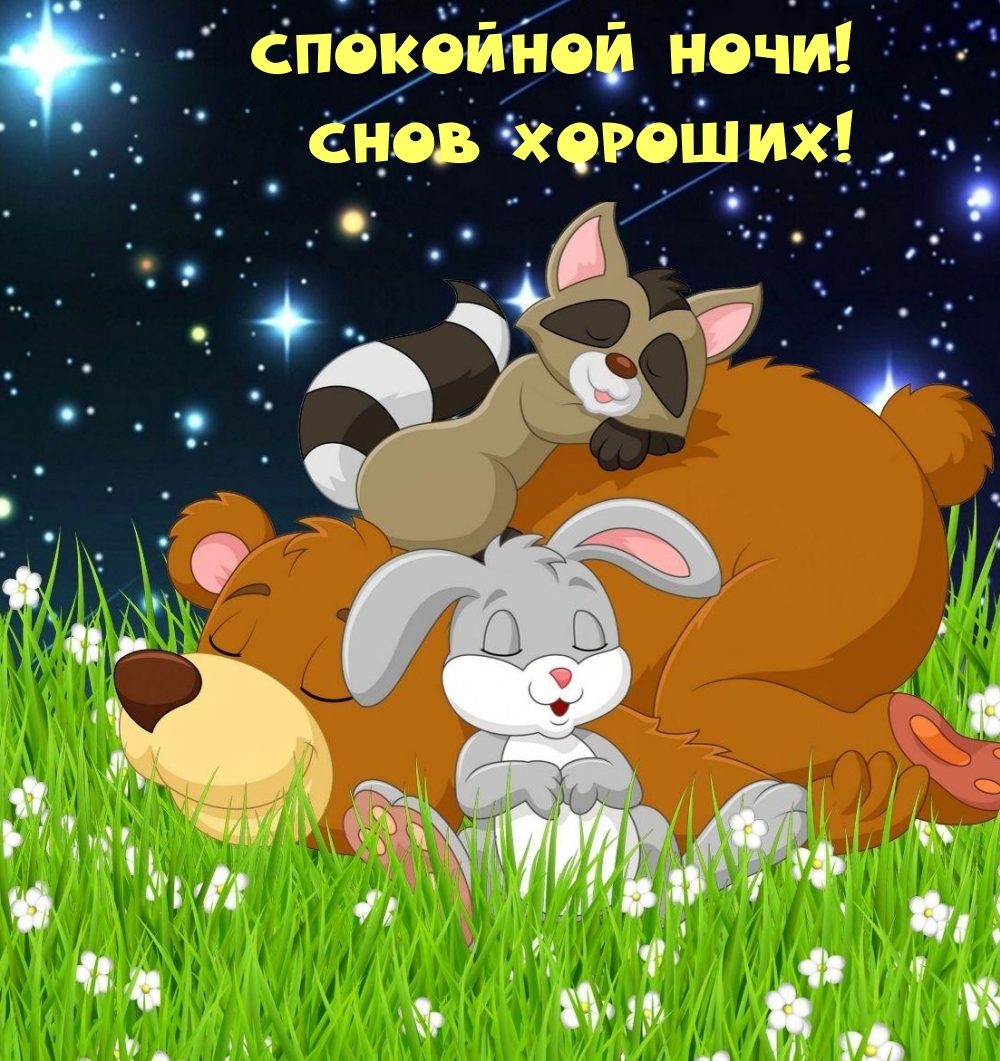 Спокойной ночи! Снов хороших!
