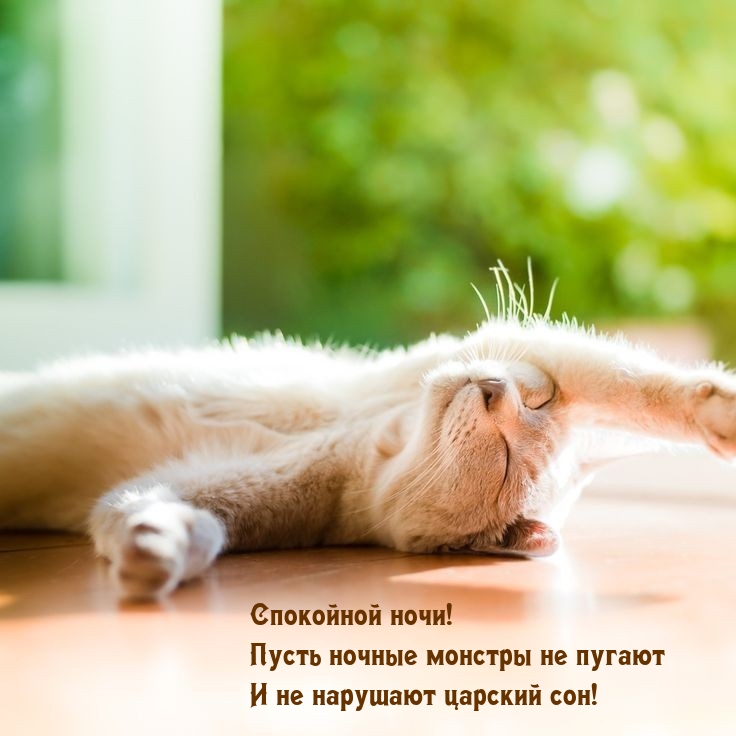 Спокойной ночи! Пусть ночные монстры не пугают