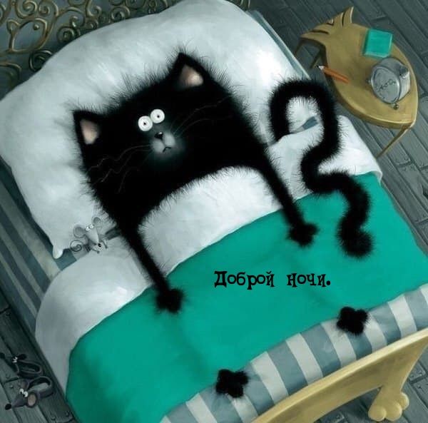 Доброй ночи.